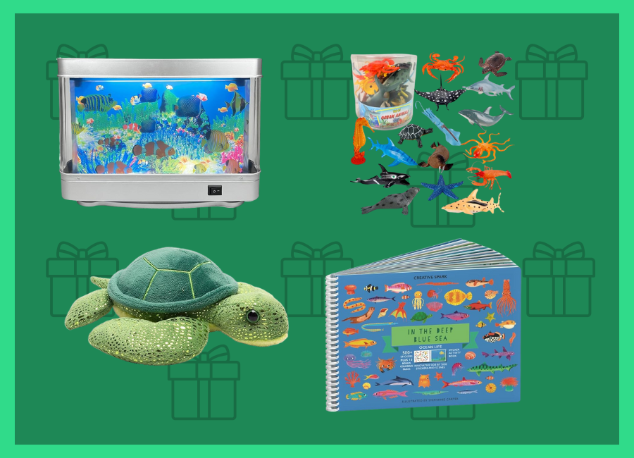 gifts for a child who likes marine life and aquariums