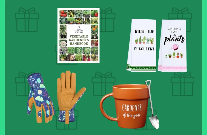 10 thoughtful gifts for gardeners who love their craft