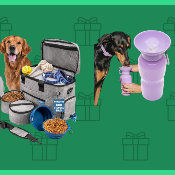 Perfect gifts for dog lovers to spoil their pets