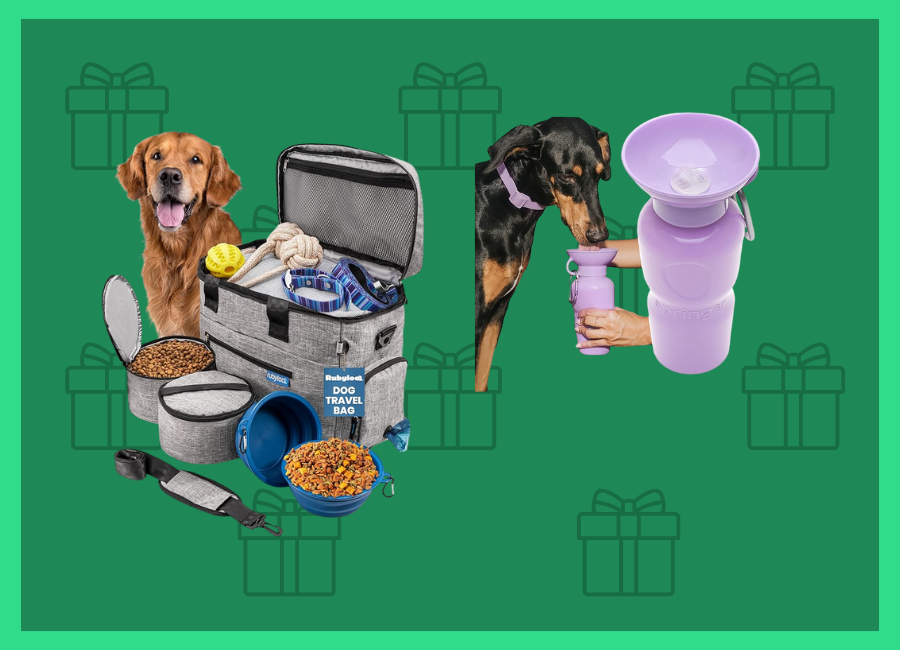 gifts for dog lovers