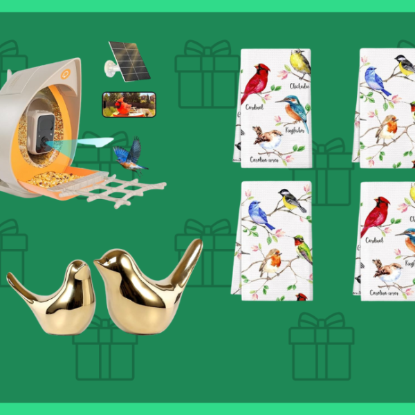 gifts for bird lovers