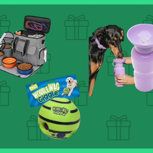 gifts for dog owners