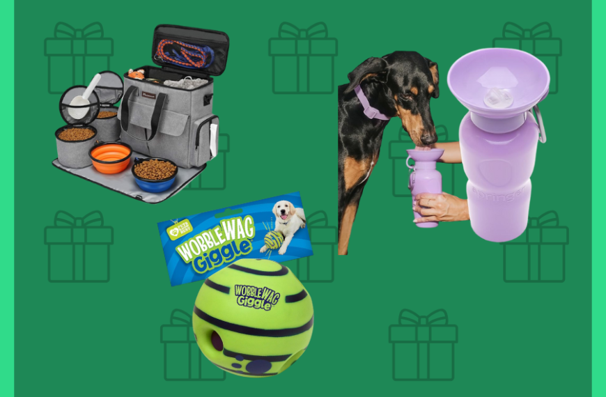 gifts for dog owners